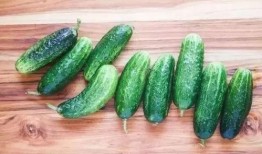 吃瓜唐十八16,一场关于美食与生活的趣味之旅