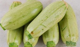 最快速吃瓜,揭秘最快速吃瓜达人