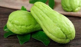 佛手瓜枝怎样吃,探索健康美味的烹饪新境界