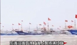 吃瓜船只,揭秘海上娱乐新潮流