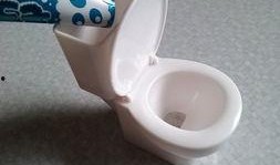 奇葩吃瓜奇葩马桶,奇葩吃瓜与奇葩马桶的另类生活体验