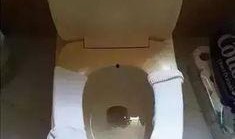 奇葩吃瓜奇葩马桶,奇葩吃瓜与奇葩马桶的另类生活体验