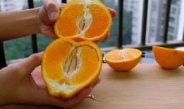 吃甜梨瓜血糖,美味与健康的平衡之道