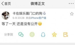 吃瓜爆料文字,吃瓜爆料背后的真相大起底