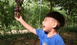 陈萍吃瓜,揭秘娱乐圈幕后真相