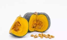 小瓜吃胖了,探寻美食与健康的平衡之道