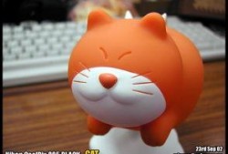 fly转会cat吃瓜,Fly转会Cat，吃瓜群众热议不断