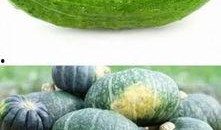 立秋为什么吃瓜,传统习俗中的养生智慧