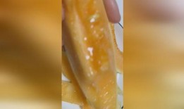 甘肃吃蜜瓜的香味