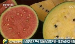 世界最牛吃瓜群众,全球最热“吃瓜群众”风云录