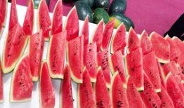 广州学校吃瓜排名,揭秘校园吃瓜达人最爱的高校美食