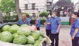 兰州商学院吃瓜,吃瓜群众的味蕾盛宴