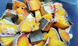 面瓜鱼吃尸体,揭秘食尸鱼类的生存奥秘