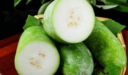 一瓜七吃,探索瓜果的多样美味与营养价值