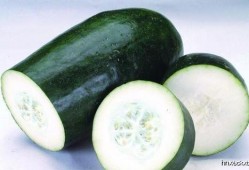 尿酸吃蒲瓜,蒲瓜助力尿酸排泄，健康生活新选择