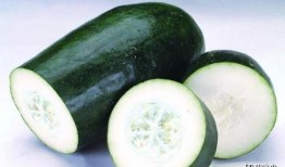 尿酸吃蒲瓜,蒲瓜助力尿酸排泄，健康生活新选择