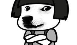 身边人的吃瓜,一场场吃瓜盛宴