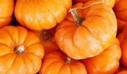 吃毛瓜的好处幼儿,毛瓜营养益处大盘点