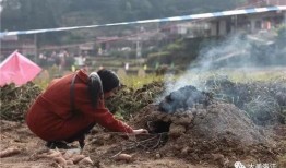 虹山水库吃瓜,清凉一夏，共享田园时光