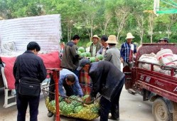 衡阳建材吃瓜群众