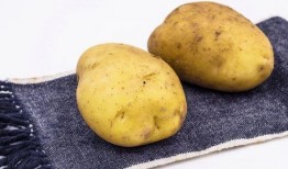 大远吃瓜土豆,揭秘网络红人的美食之旅