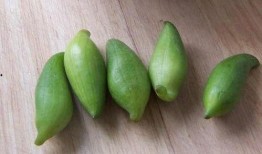 轻雀吃瓜群,揭秘网络社交圈的趣味与争议