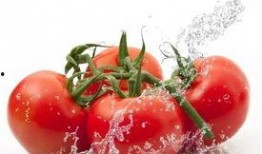 天天吃瓜番茄小说,番茄小说中的悬疑世界