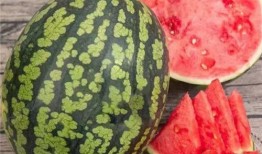 最快速吃瓜,揭秘最快速吃瓜达人