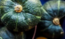 吃脆瓜胖吗,吃脆瓜真的不会胖吗？揭秘真相