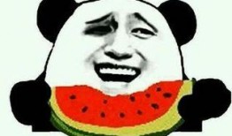 吃瓜什么梗,揭秘网络热梗“吃瓜”背后的故事