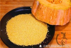 瓜哥带你吃小米,瓜哥带你领略小米美食之旅