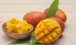 芒果能和鸡瓜一起吃吗,芒果与鸡瓜的饮食搭配探讨