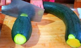 老祖吃瓜,揭秘娱乐圈那些不为人知的幕后故事