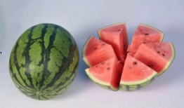 新乐木村吃瓜,一场别开生面的“吃瓜”盛宴