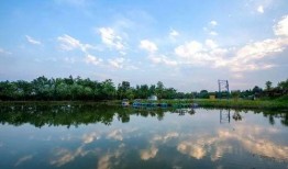 东昌湖吃瓜,尽享清凉夏日时光