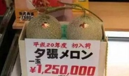 娱乐吃瓜大众,揭秘明星幕后故事