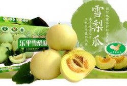 广东吃瓜公众号,揭秘粤菜背后的那些“秘密”与“传说”