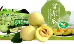 广东吃瓜公众号,揭秘粤菜背后的那些“秘密”与“传说”