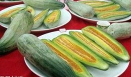 吃酥瓜引起呕吐