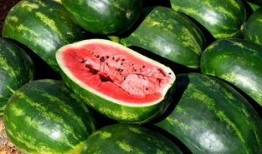 神王吃瓜,揭秘凡间奇闻轶事