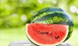 一瓜七吃,探索瓜果的多样美味与营养价值