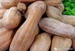 方瓜炸着吃,香脆可口的美味探索