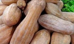 方瓜炸着吃,香脆可口的美味探索