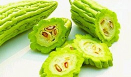 补气吃中药能否吃哈密瓜,补气中药与哈密瓜的相宜搭配探讨