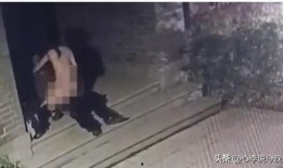 马站吃瓜视频,揭秘网络热点背后的真相与笑料