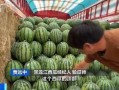 还有吃瓜的吗