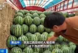 还有吃瓜的吗