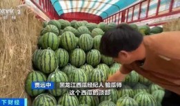 还有吃瓜的吗