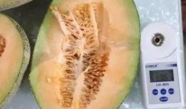 一岁吃哈密瓜吗,一岁宝宝适宜吃哈密瓜吗？营养解析与食用建议