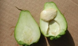 合掌瓜要去皮吃,解锁健康饮食新选择